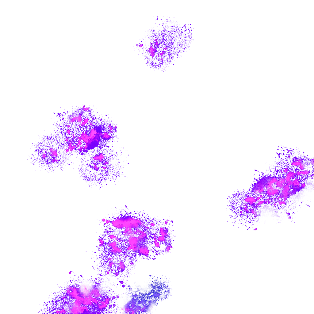0004_piccolo_01_effect2.webp