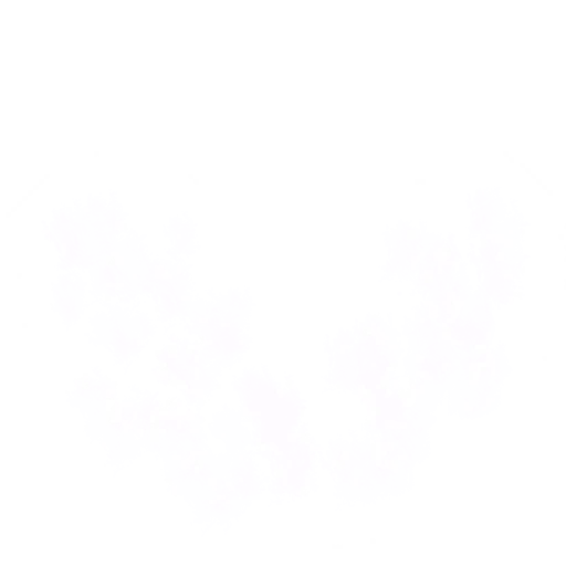 0018_vegeta_02_effect2.webp
