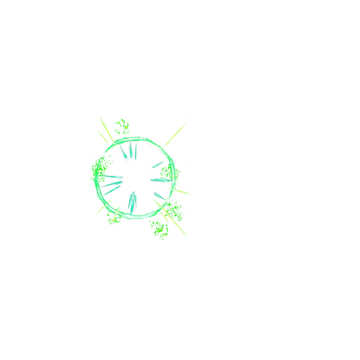 0036_jaco_01_effect1.webp
