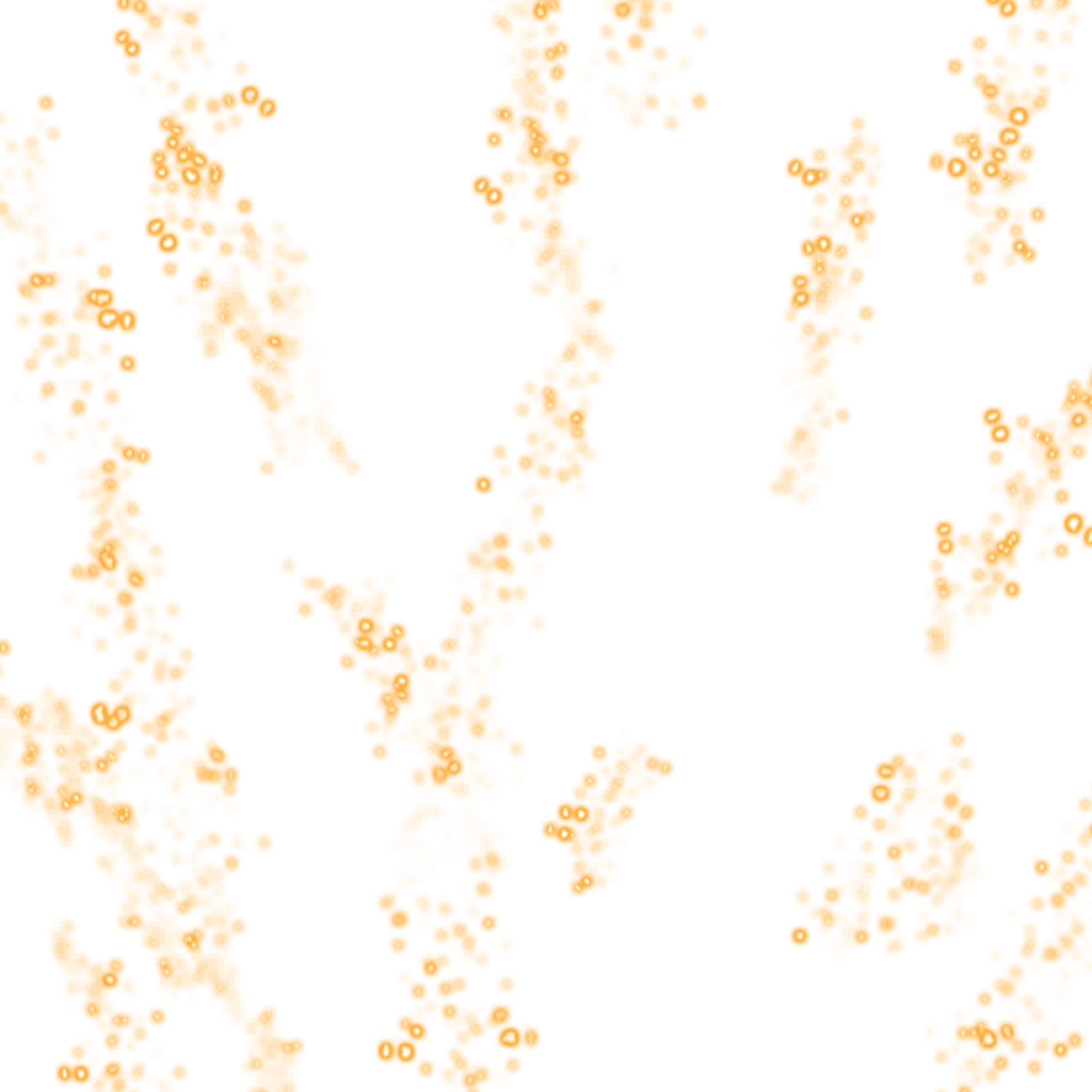 0046_vegetass1_01_effect1.webp
