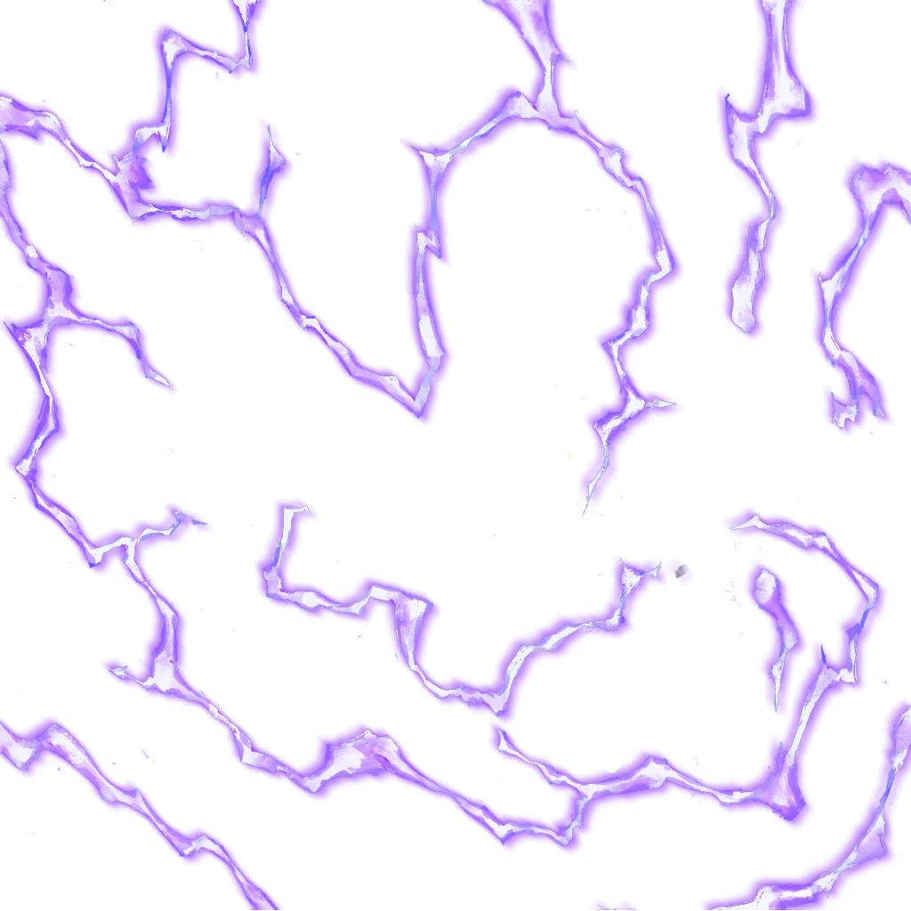 0084_piccoloking_02_effect3.webp