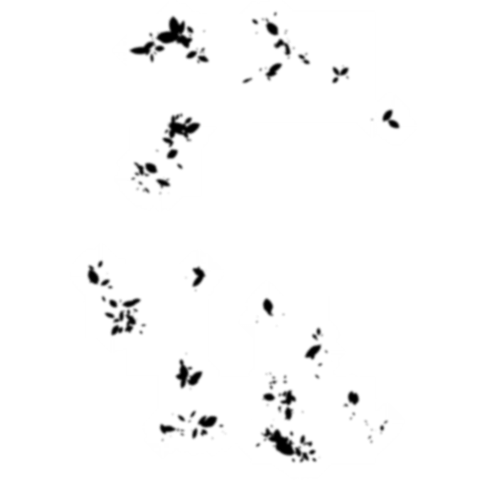 0137_Android18_137_Effect11.webp