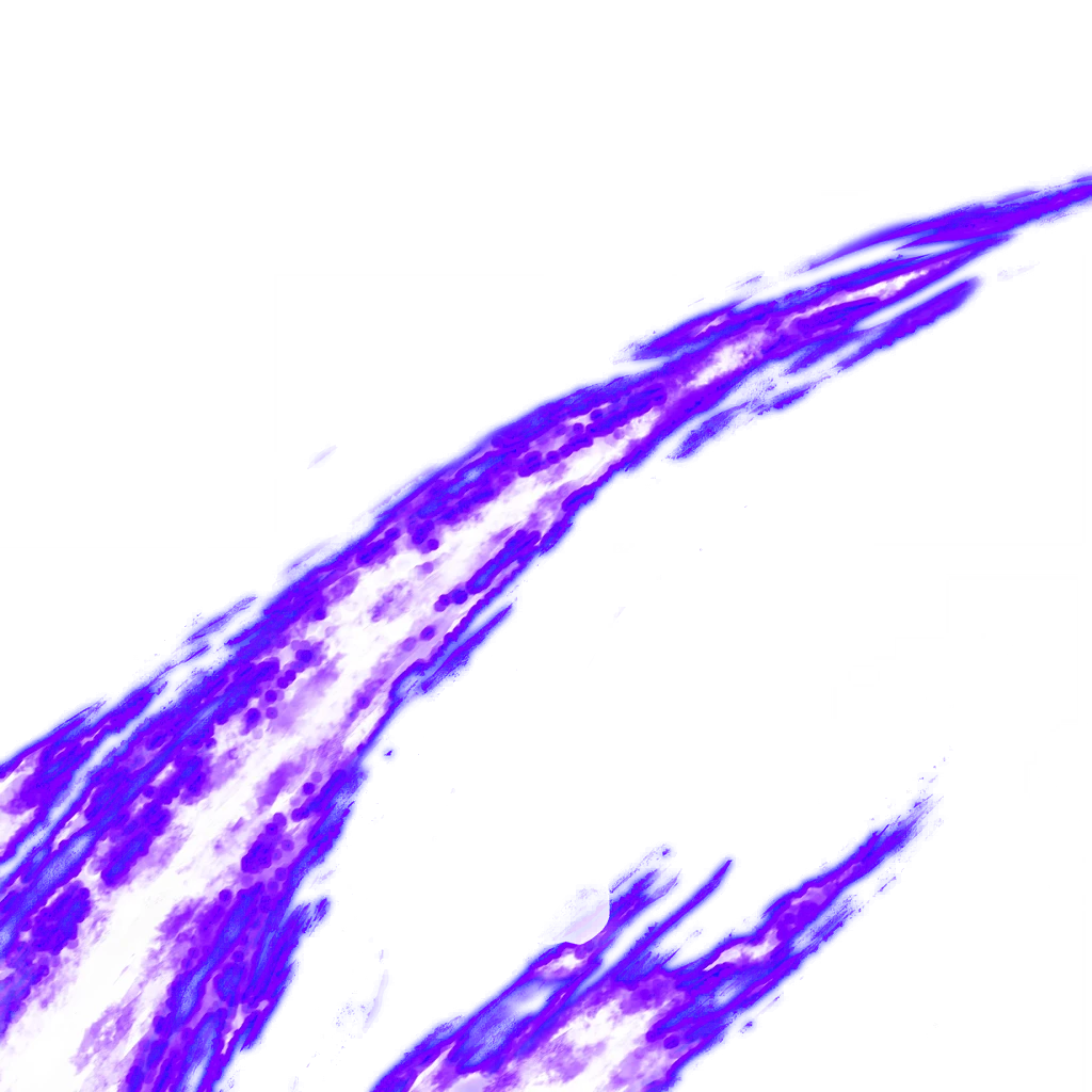 0156_vegetass1_156_effect7.webp
