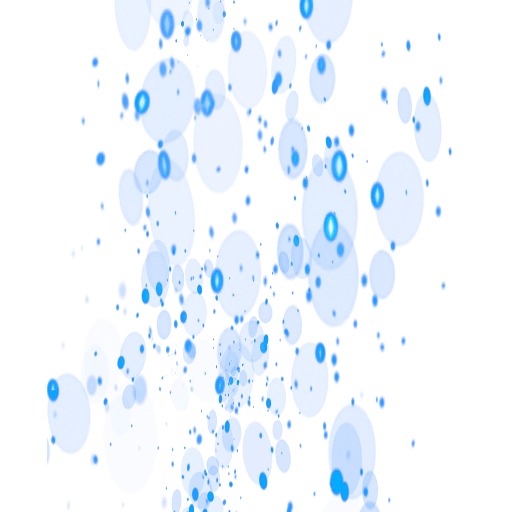 0217_vegetassgss_217_effecf16.webp