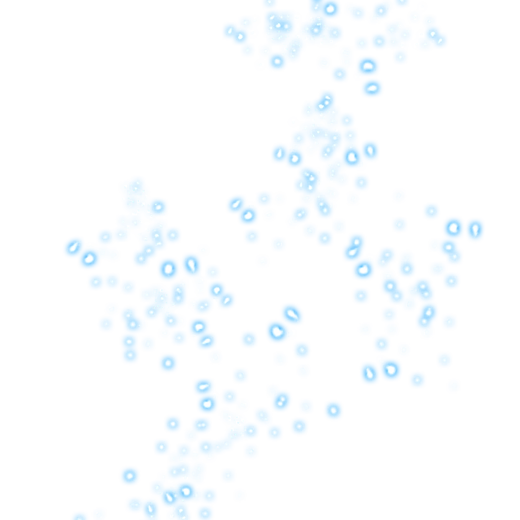 0217_vegetassgss_217_effecf7.webp
