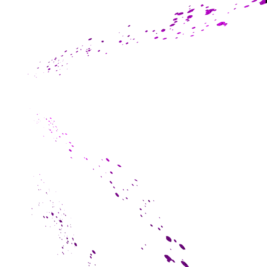 0223_beerus_223_effect14.webp