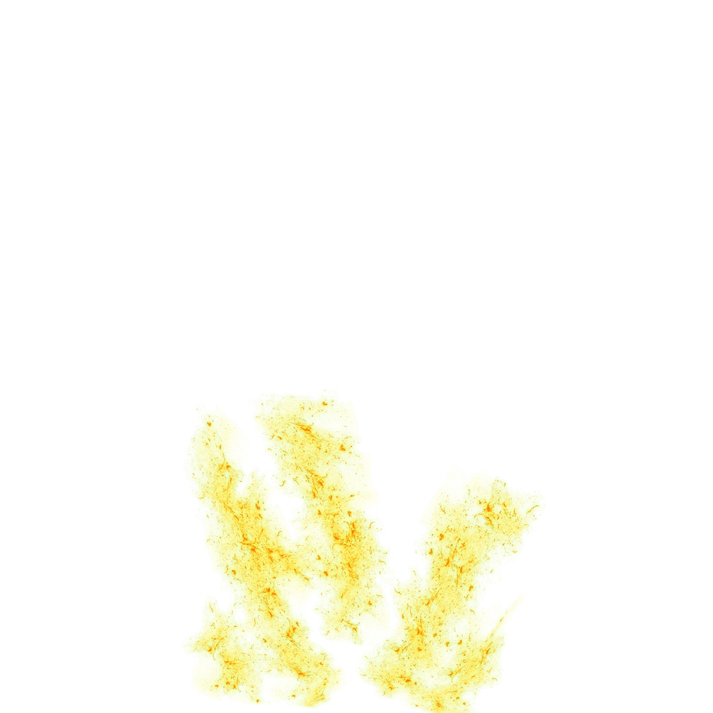 0251_gokuss3_251_effect11.webp