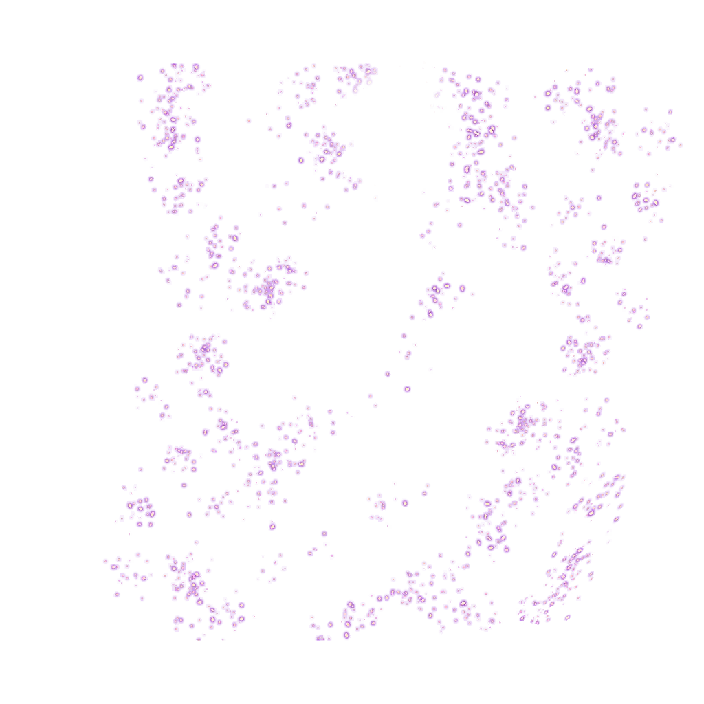 0273_shenron1_273_effect7.webp