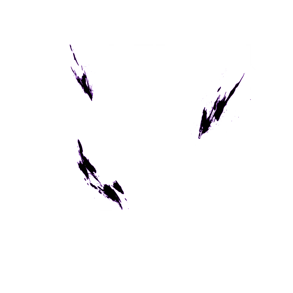 0275_shenron3_275_efect10.webp