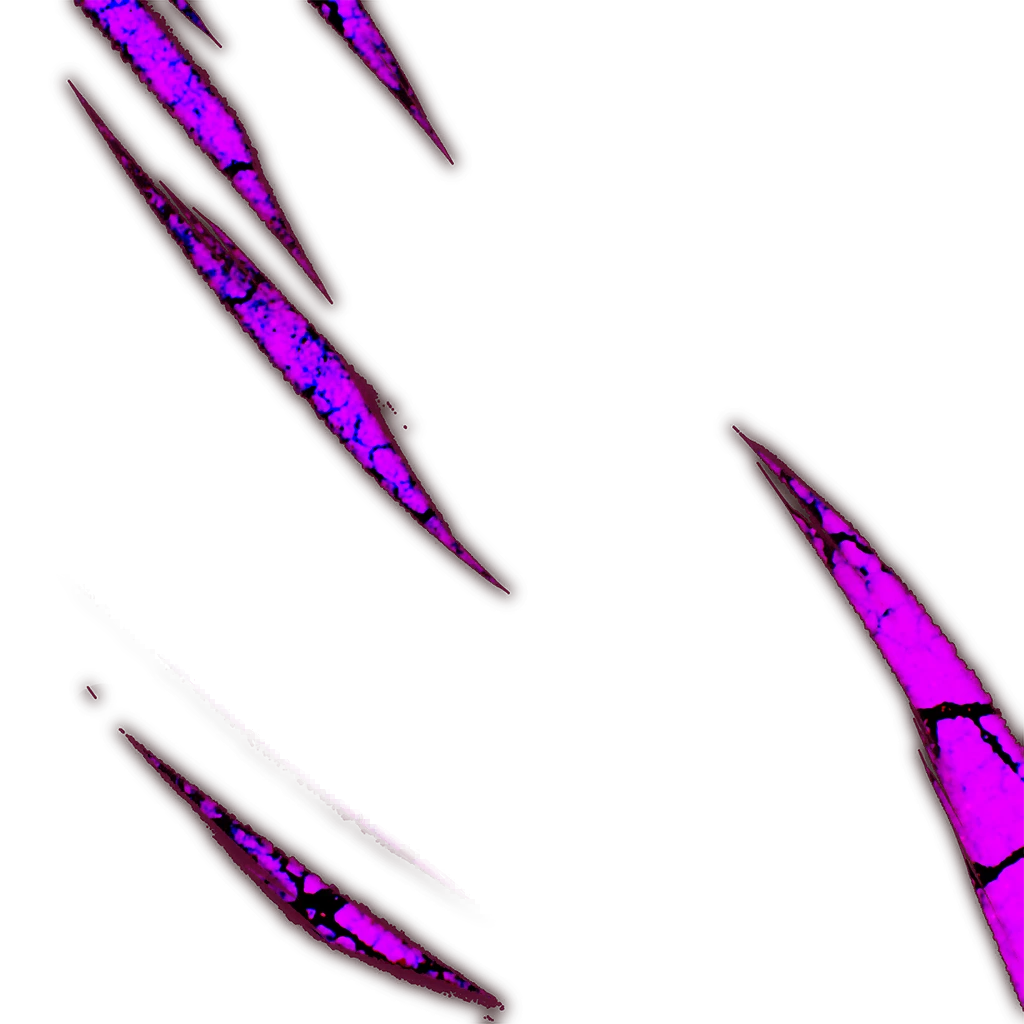 0301_basil_301_effect4.webp