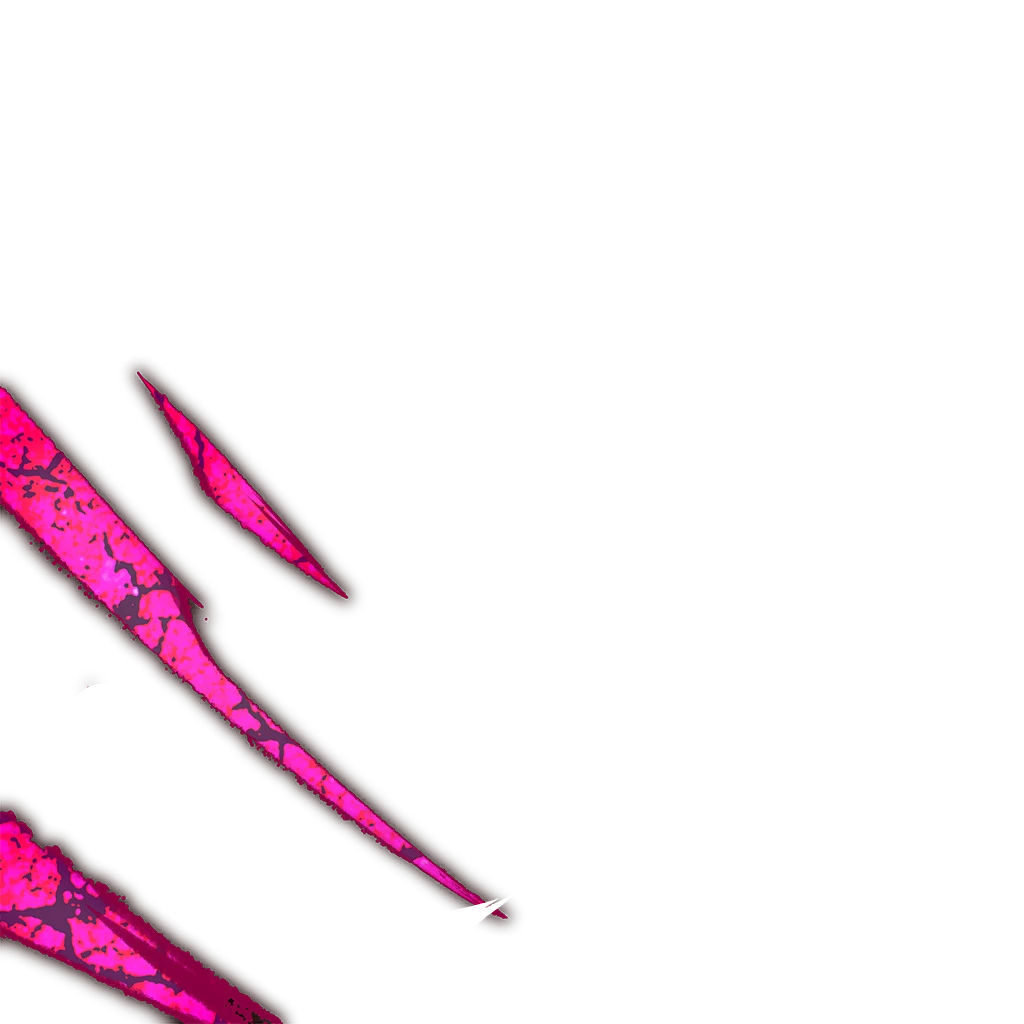 0301_basil_301_effect9.webp