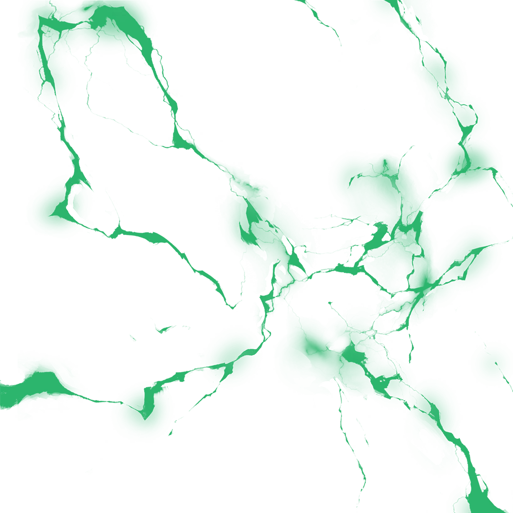 0312_kale_312_effect2.webp