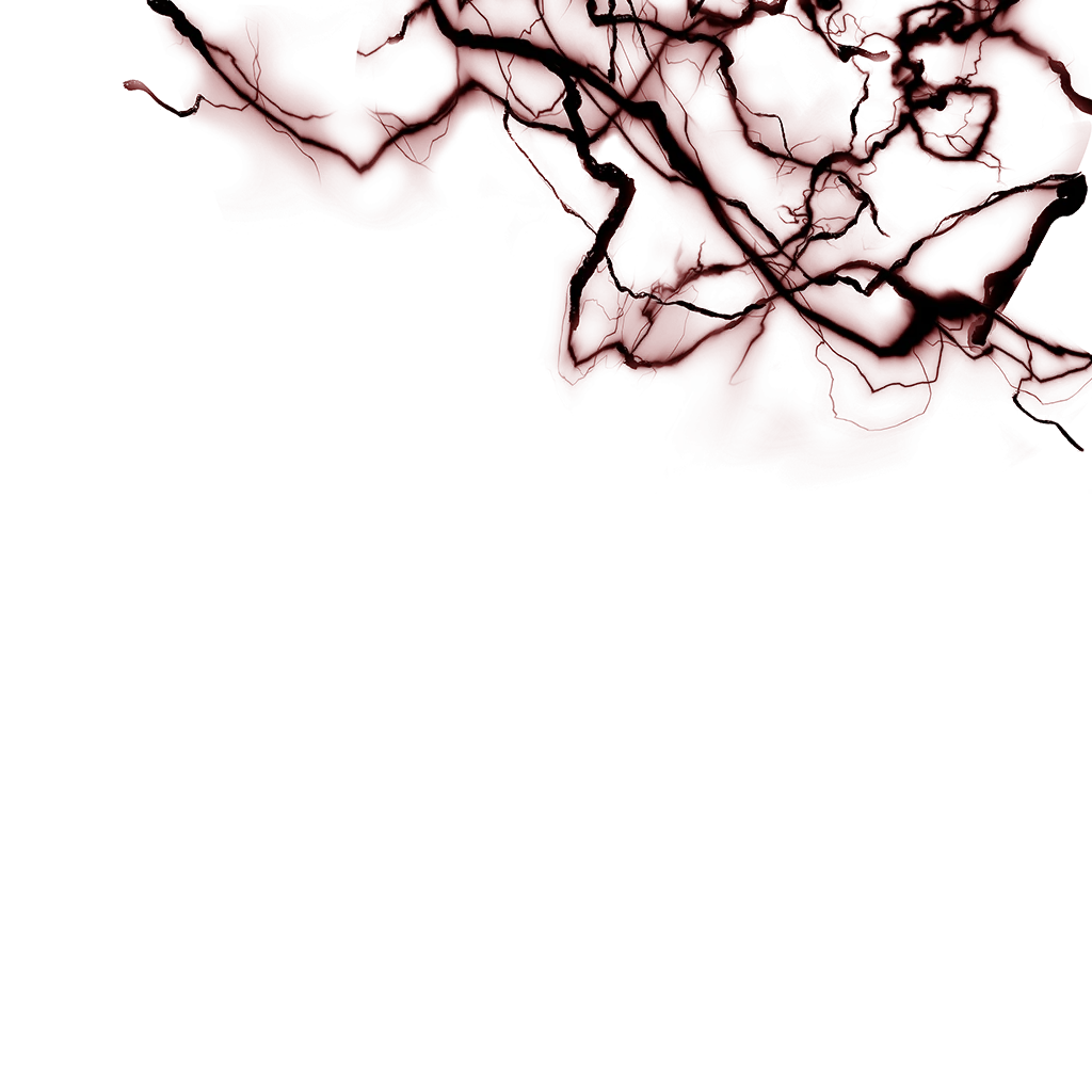 0321_shenrons1_321_effect5.webp