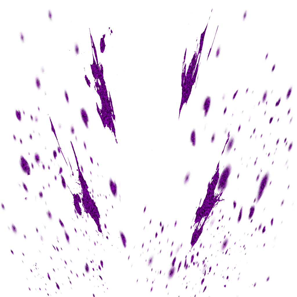 0409_gohanteenss1_409_effect38.webp
