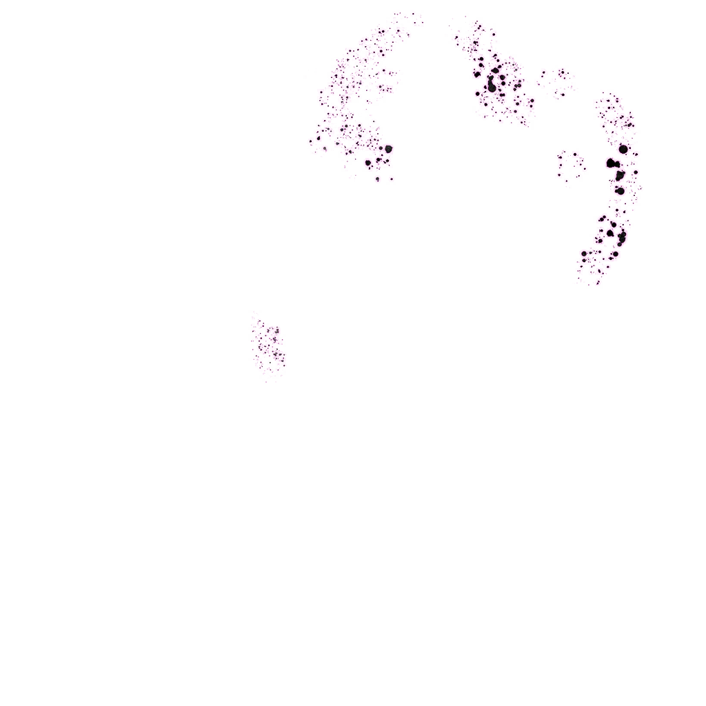 0440_copyman_440_effect11.webp