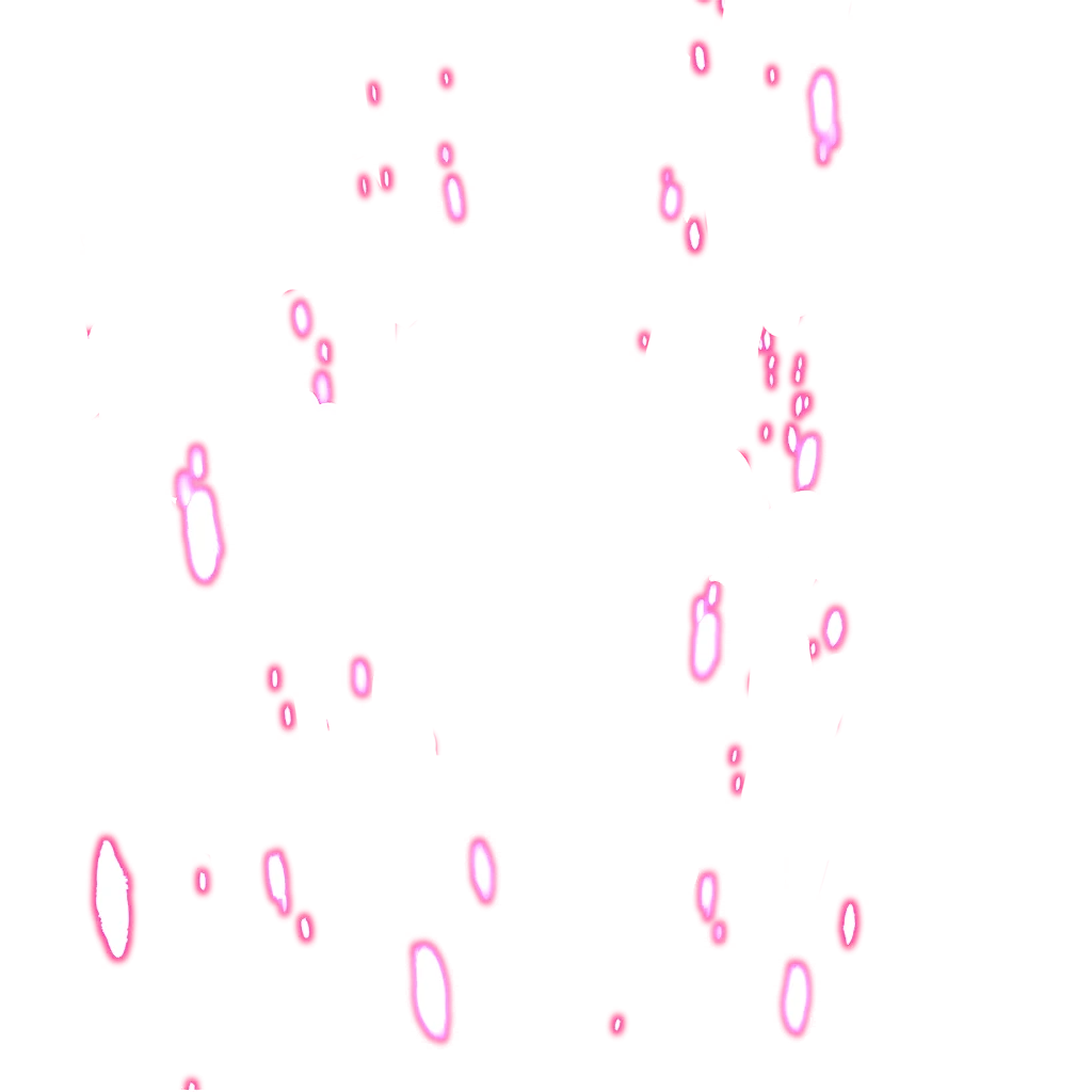 0447_gokublackrose_447_effect_11.webp