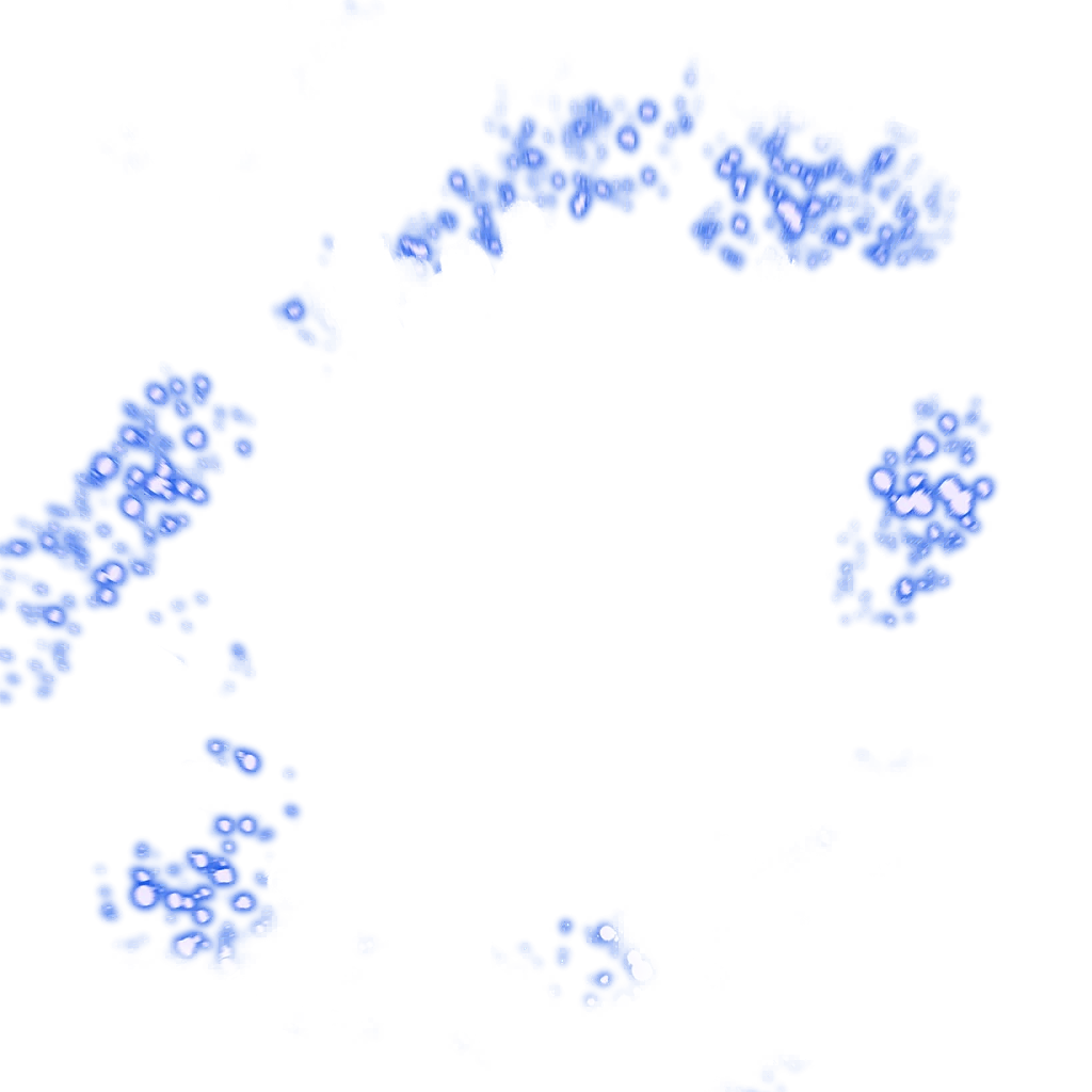 0457_toma_457_effect7.webp