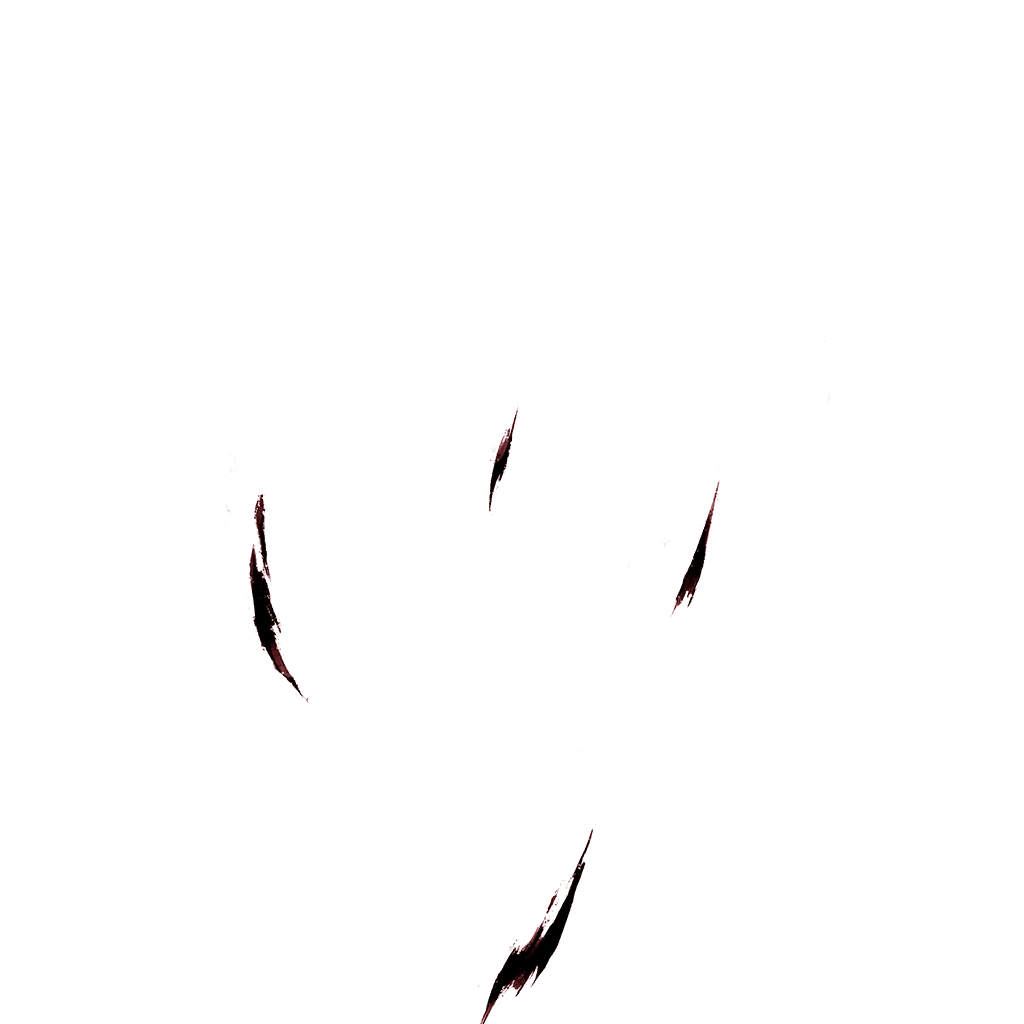 0469_friezagold_469_effect_08.webp
