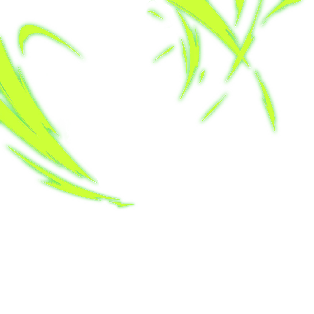 0489_tienshinhan_489_effect_00.webp
