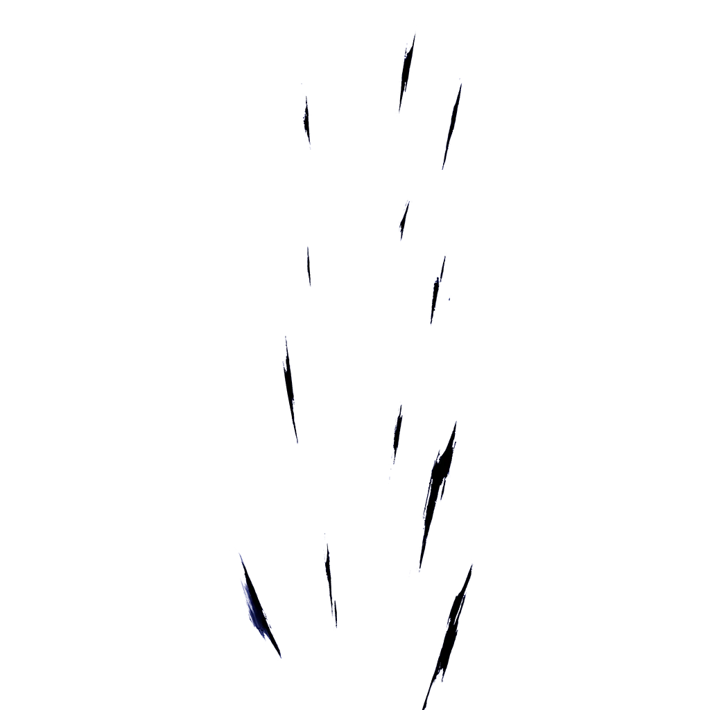 0491_gohanshb_491_effect_09.webp