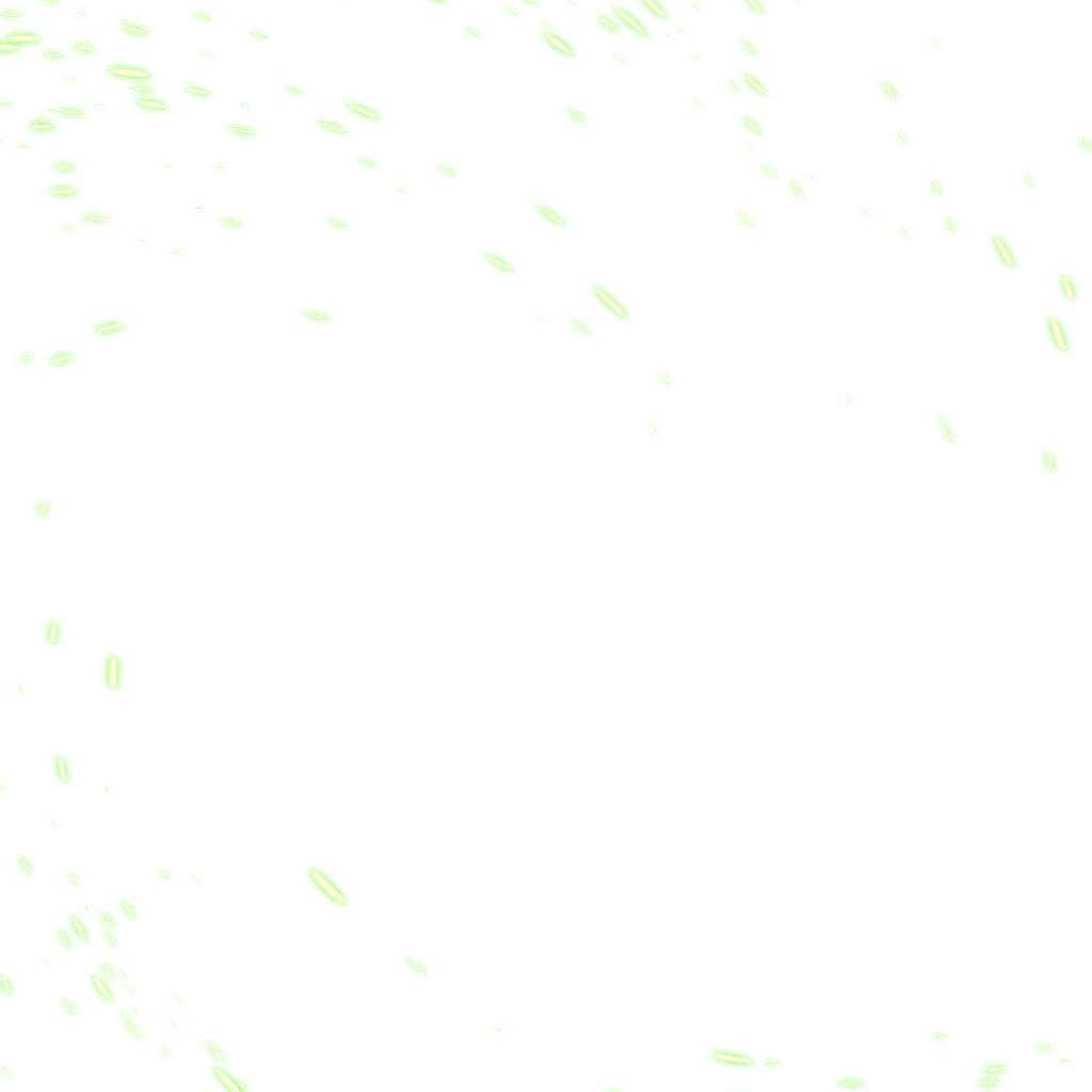0528_kamesenninsp_528_effect_02.webp