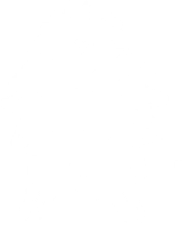 0536_gokuss3_536_effect_37.webp
