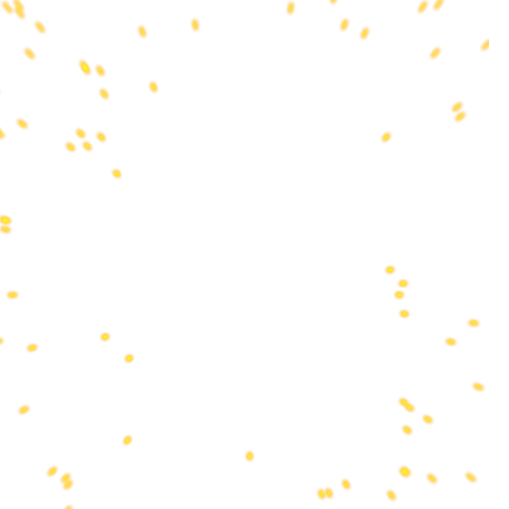 0549_gamma1_549_effect_09.webp