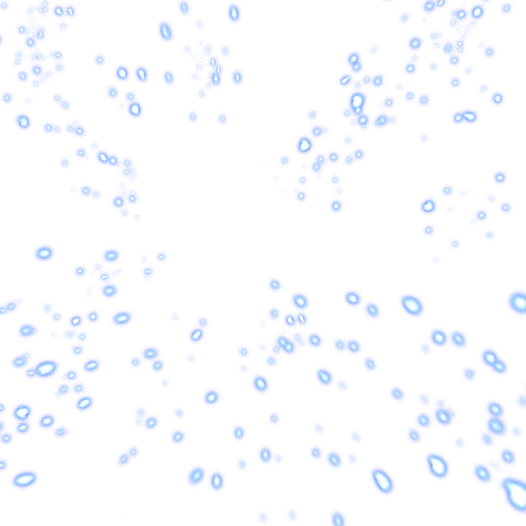0567_kamesenninppm_567_effect_00.webp