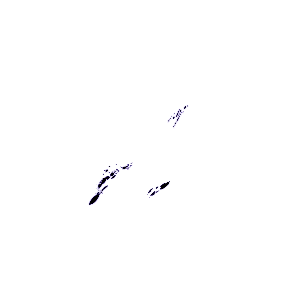 0592_bulla_592_effect_07.webp