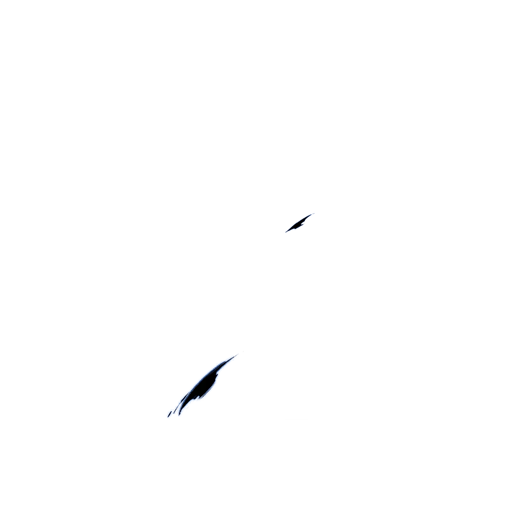 0611_shin_611_effect_06.webp