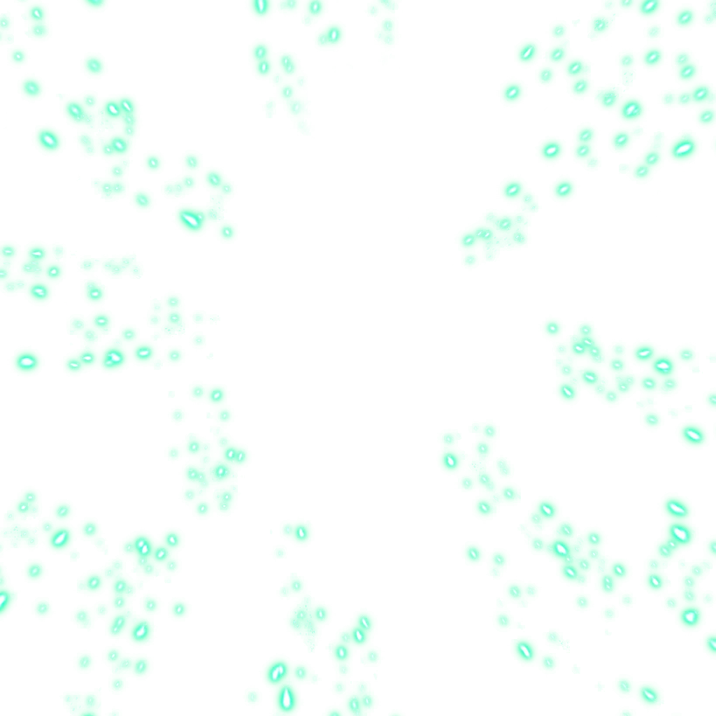 0620_shenron1_620_effect_01.webp