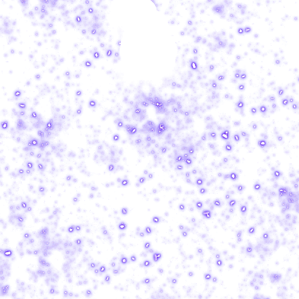 0620_shenron1_620_effect_12.webp