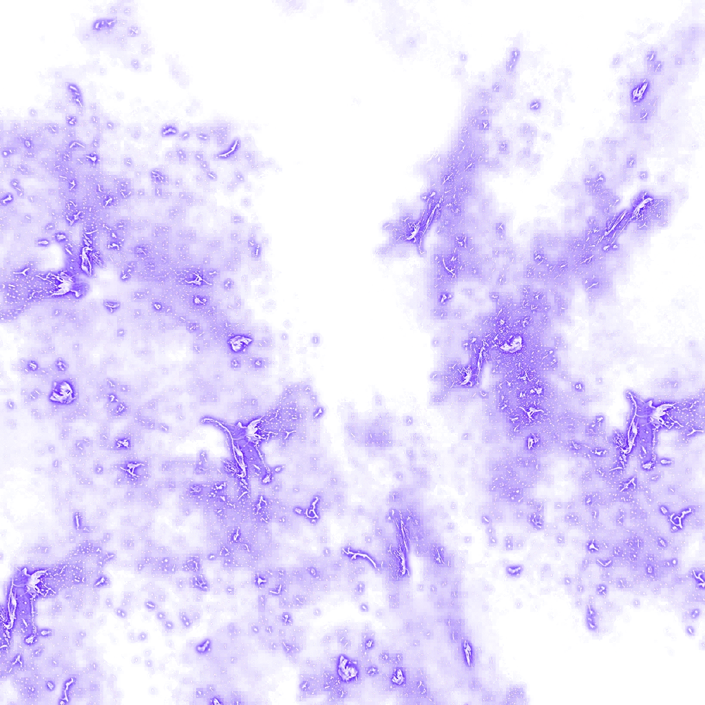 0622_shenrons1_622_effect_12.webp