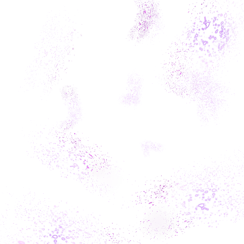 0630_garlicjr_630_effect_01.webp