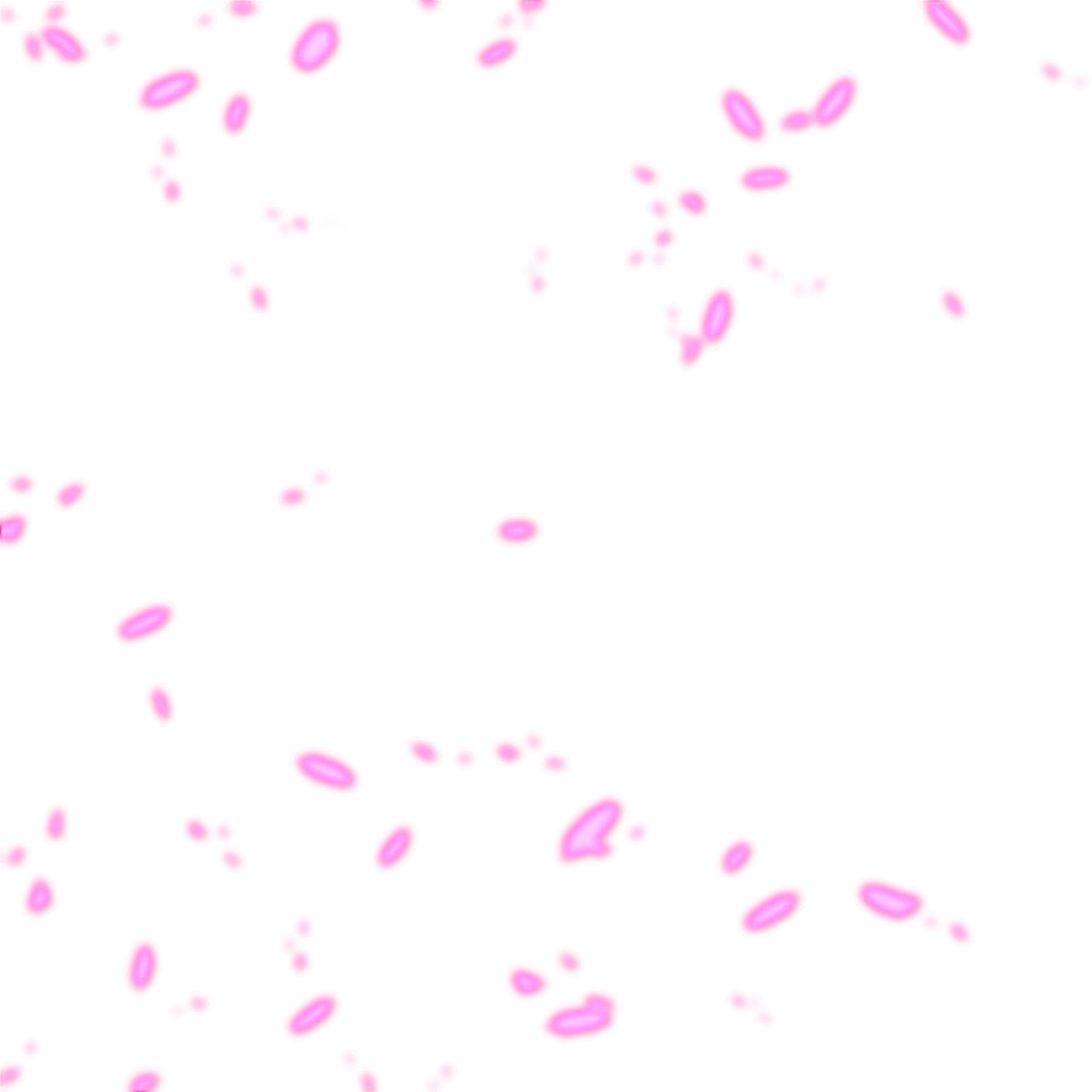 0631_bojack_631_effect_00.webp
