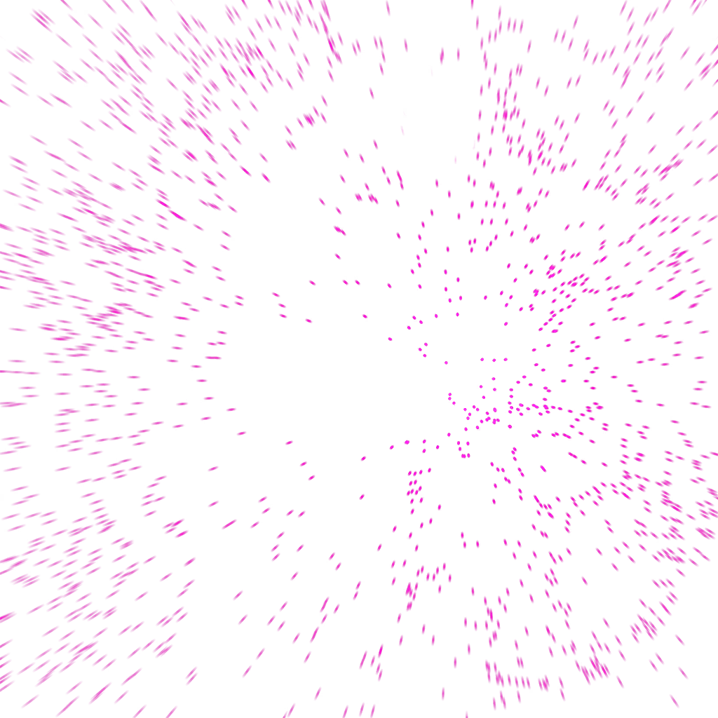 0651_vegeta_651_effect_09.webp