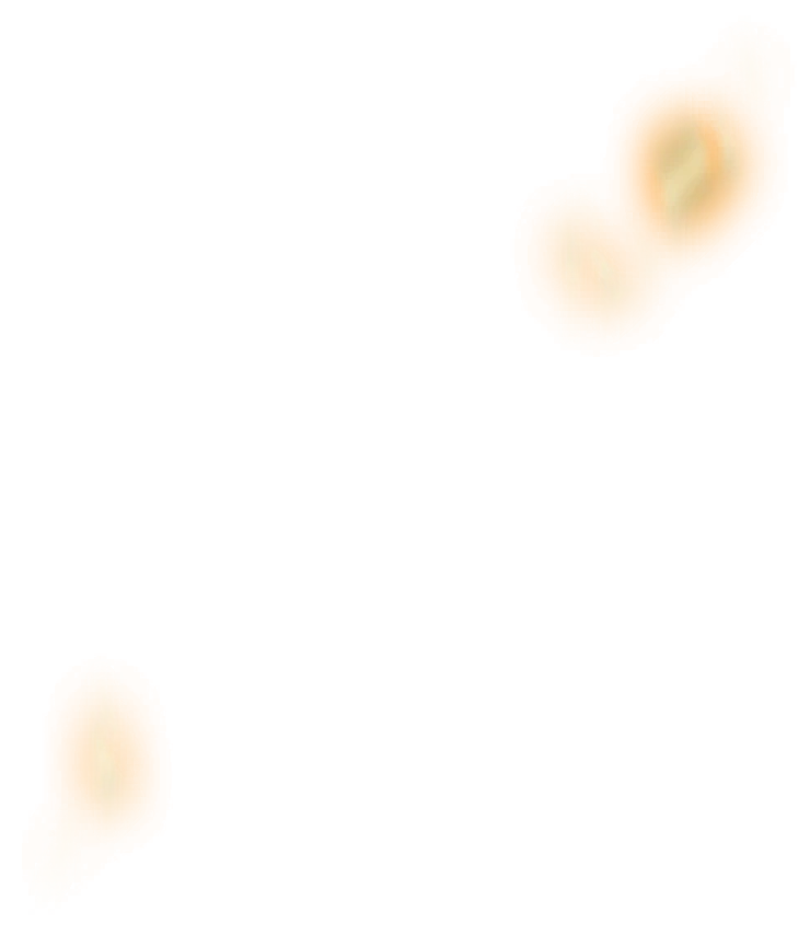 0684_shalletssg_684_effect_48.webp