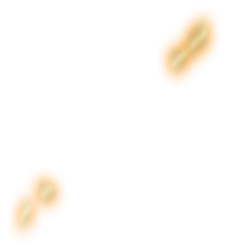 0684_shalletssg_684_effect_49.webp