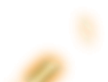 0684_shalletssg_684_effect_56.webp