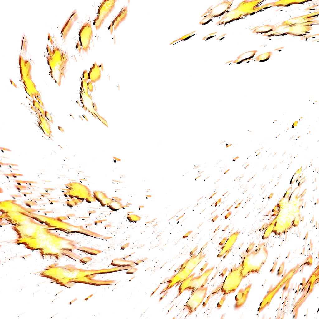 0719_piccolo_719_effect_38.webp