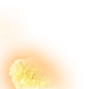 0719_piccolo_719_effect_93.webp