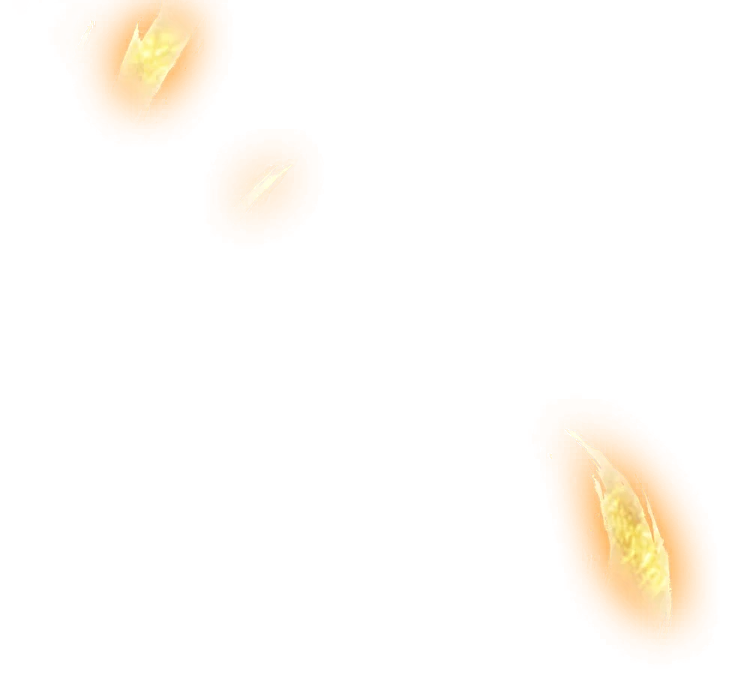 0725_bardock_725_effect_38.webp