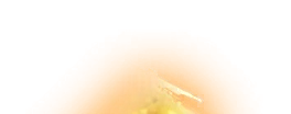 0726_gokublackxv2_726_effect_61.webp