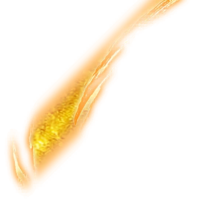 0742_goku_742_effect_102.webp