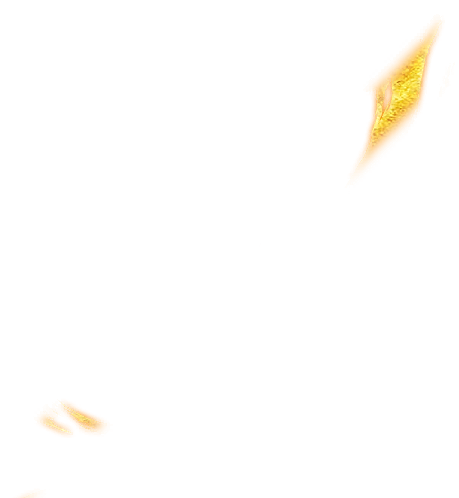 0742_goku_742_effect_89.webp