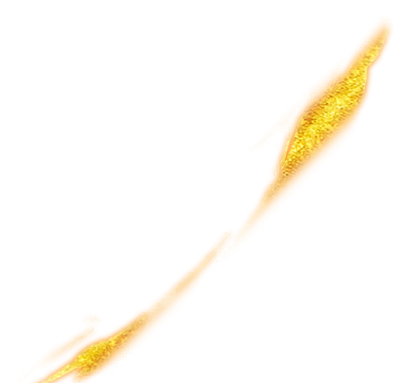 0742_goku_742_effect_92.webp