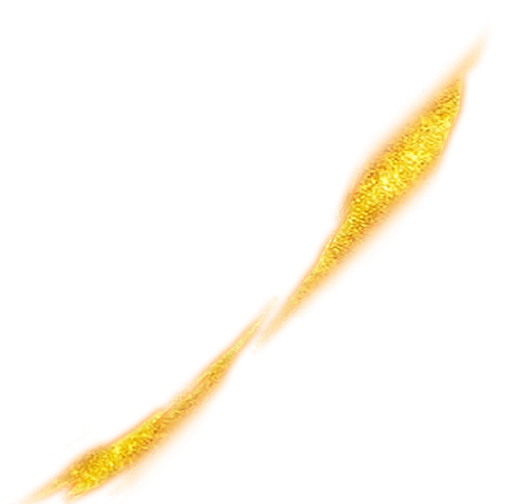 0742_goku_742_effect_93.webp