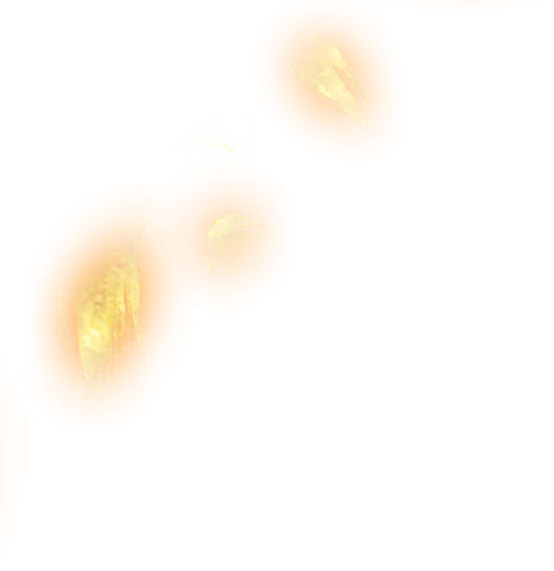 0748_vegetassgss_748_effect_39.webp