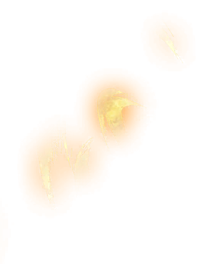 0748_vegetassgss_748_effect_40.webp