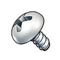 Screw Screw